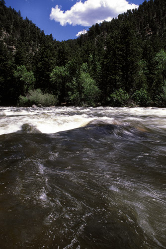 Rapids on the Poudre River
