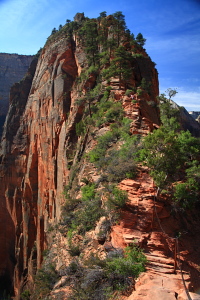 Beginning of the narrow trail to Angels Landing summit
