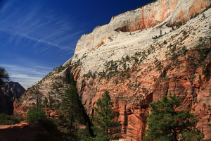 Cathedral Mountain