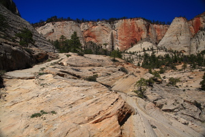 The West Rim from Telephone Canyon