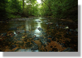 Beaver Creek Wilderness