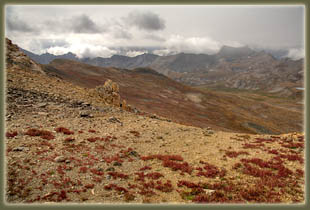 Mt Belford hike