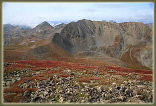 Mt Belford hike