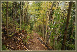 Mt Belford hike