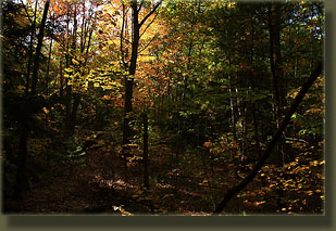 Bradbury Mountain, Maine