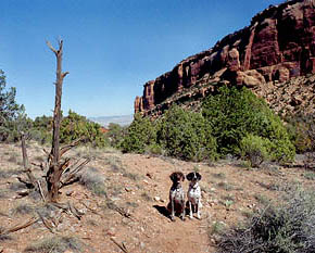 Makenzie and Frank in Devil's Canyon