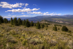 Bull Gulch WSA, Colorado