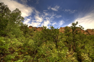 Bull Gulch WSA, Colorado