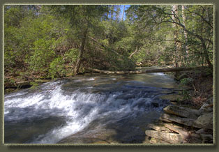 Cane Creek Falls, TN