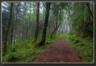Hiking on Cascade Head Preserve, Oregon
