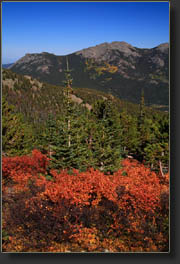 Twin Sisters Mountain from the Longs Peak Trail