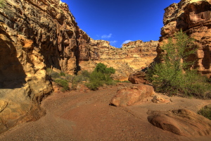 Chute Canyon, Utah