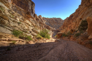 Chute Canyon, Utah