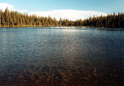 Lower Camp Lake