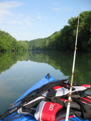 Collins River