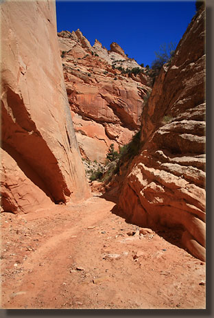 Upper Cottonwood Canyon