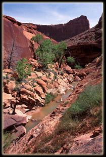 Coyote Gulch