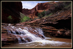 Coyote Gulch