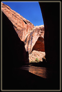 Coyote Gulch