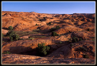 Coyote Gulch