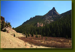 Trail through beaver meadows