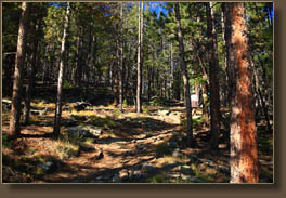 Gravel Pit trail up Crosier Mt