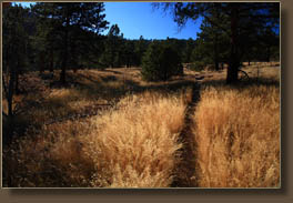 Garden Gate Trail on Crosier Mountain