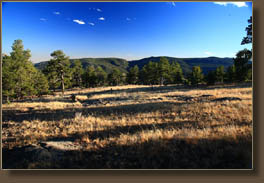 Garden Gate Trail on Crosier Mountain