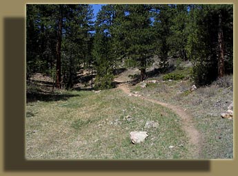 Lower Dadd Gulch Trail