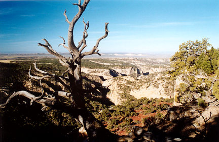 Near Plug Hat Butte