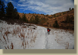 Dutch George Gulch