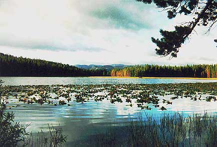 East Twin Lake, Roosevelt National Forest, Colorado