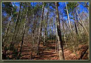 Ellicott Rock Wilderness, South Carolina