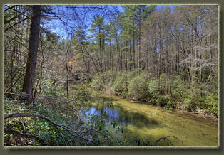 Ellicott Rock Wilderness, South Carolina