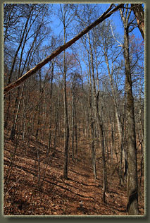 Ellicott Rock Wilderness, South Carolina