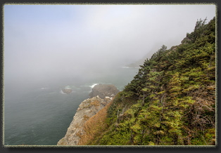 Hiking Falcon Cove in Oswald West State Park, OR