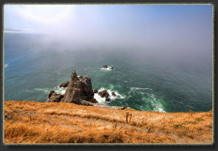 Hiking Falcon Cove in Oswald West State Park, OR