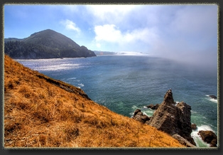 Hiking Falcon Cove in Oswald West State Park, OR