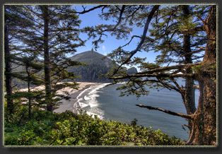 Hiking Falcon Cove in Oswald West State Park, OR