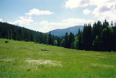 Fish Creek, Colorado