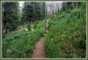 Gilpin Lake - Gold Creek Loop Hike