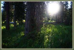 Gilpin Lake - Gold Creek Loop Hike