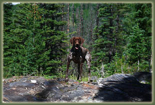 Gilpin Lake - Gold Creek Loop Hike