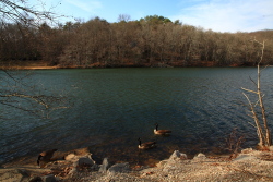 Grundy Lakes State Park, Tennessee