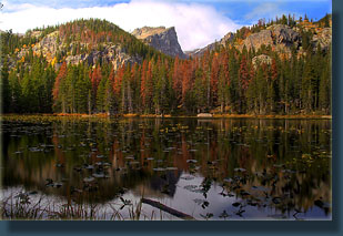 Nymph Lake and Hallet Peak