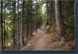 Trail to Lake Haiyaha