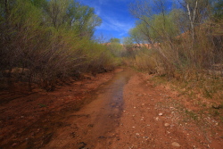 Harris Wash, Utah