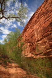 Harris Wash, Utah