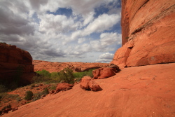 Harris Wash, Utah