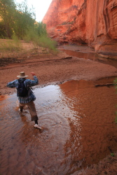 Harris Wash, Utah